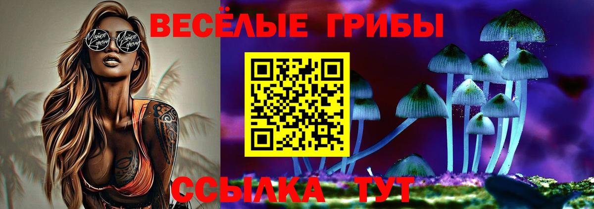 Галлюциногенные грибы Psilocybe  Псилоцибиновые грибы Psilocybine cubensis  Шумерля  Вход с VPN 